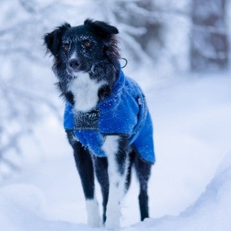Lana blå - tynt ulldekken hund