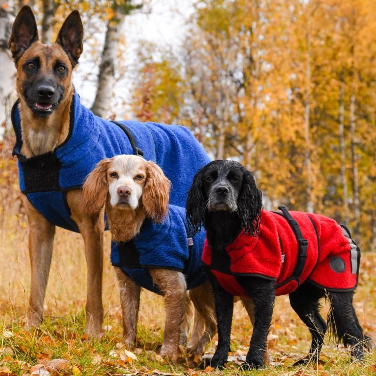 Lana rød - tynt ulldekken hund