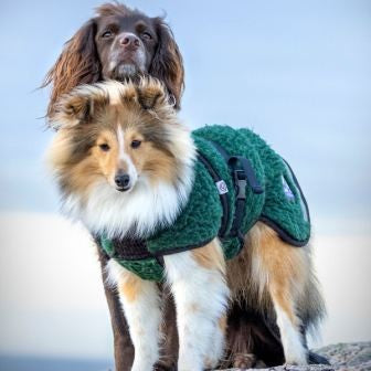 Selva ulldekken hund