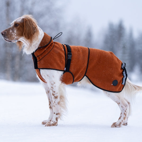 Delta ulldekken hund