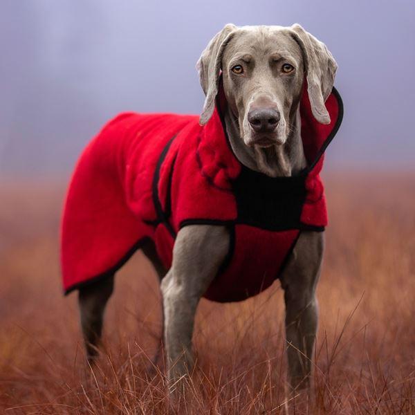 Lana rød - tynt ulldekken hund
