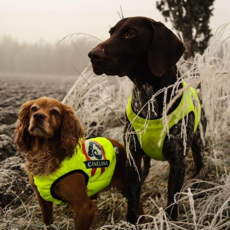 Neon beskyttelsesvest med 100% ullfór hund