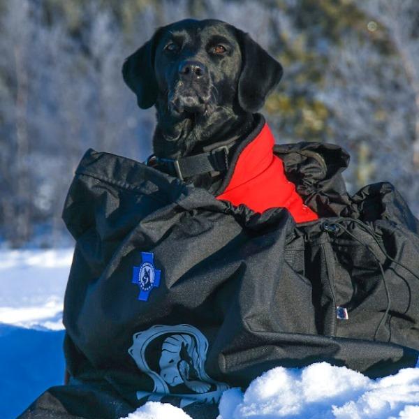 SHELTER - Canelana beskyttende vind-/varmepose hund