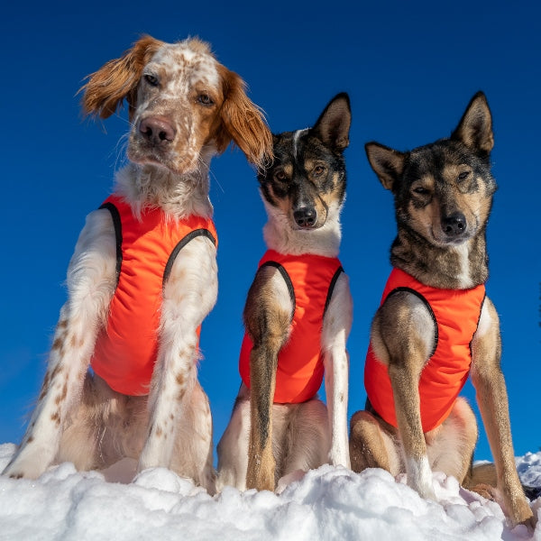 Signal beskyttelsesvest hund med ullfór og refleks