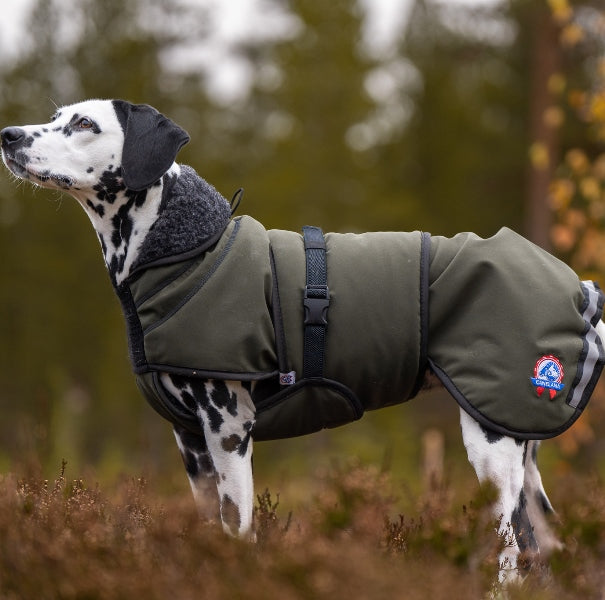 Thermo grønn-100% ull dekken hund softshell ytterstoff