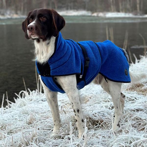 Lana blå - tynt ulldekken hund