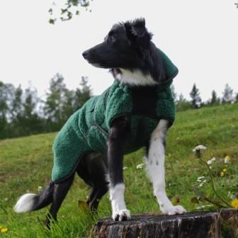 Selva ulldekken hund