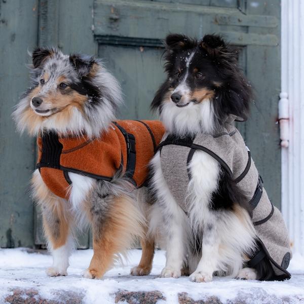Delta ulldekken hund