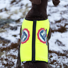 Neon beskyttelsesvest med 100% ullfór hund