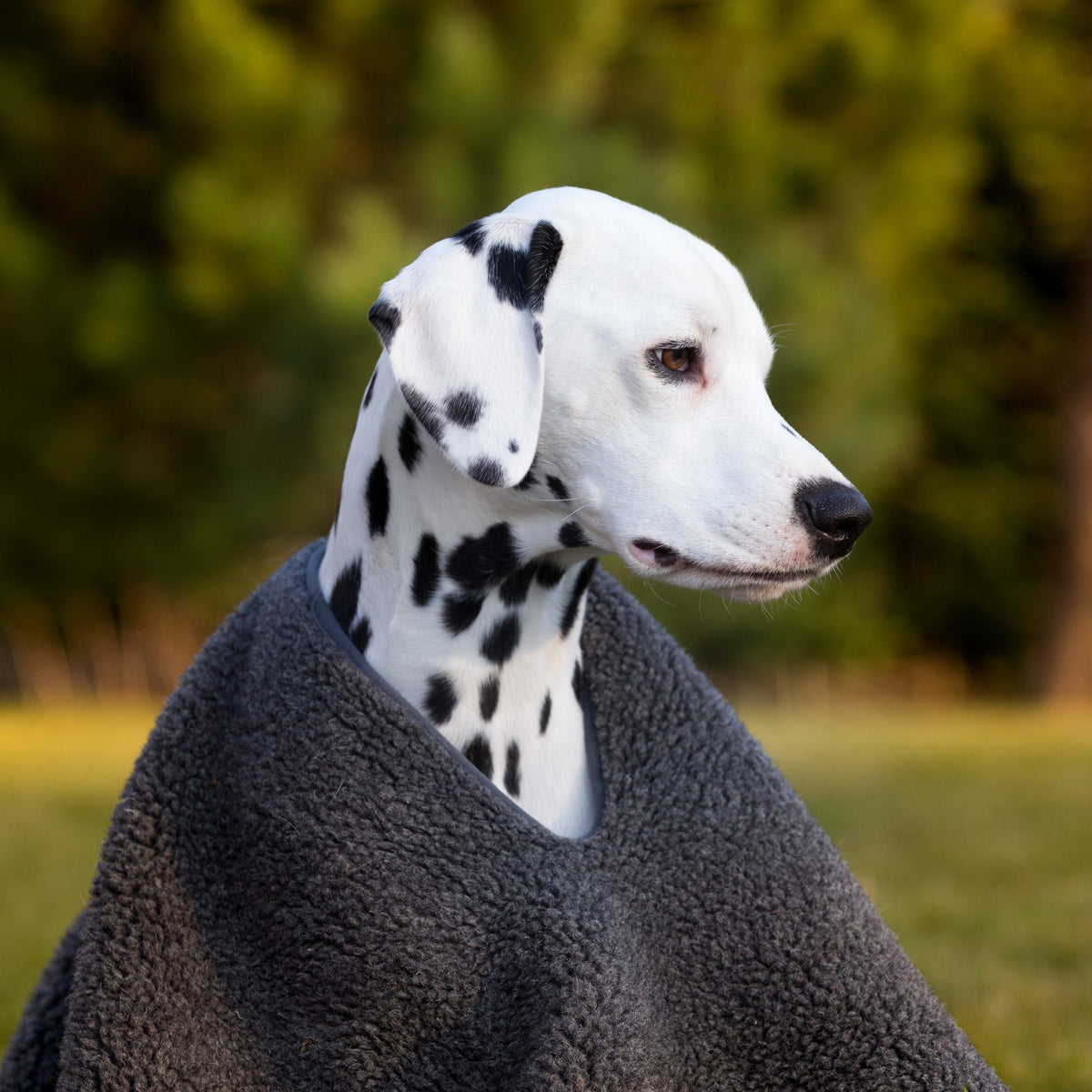 Hundeponcho i ull
