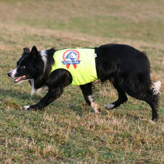 Neon beskyttelsesvest med 100% ullfór hund