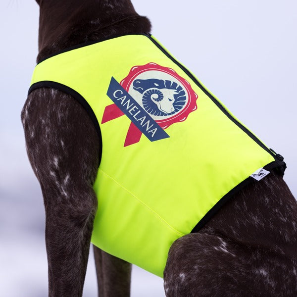 Neon beskyttelsesvest med 100% ullfór hund