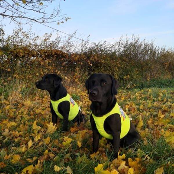 Neon beskyttelsesvest med 100% ullfór hund