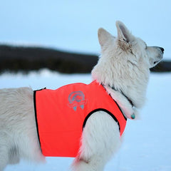 Signal beskyttelsesvest hund med ullfór og refleks