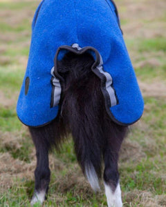 Lana blå - tynt ulldekken hund