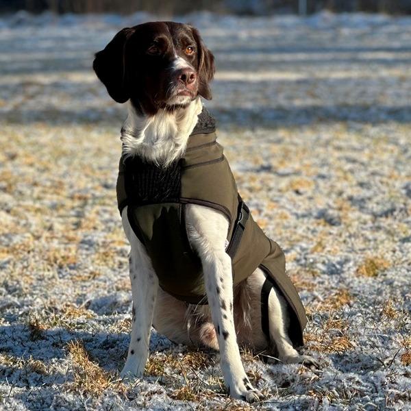 Thermo grønn-100% ull dekken hund softshell ytterstoff