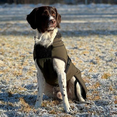 Thermo grønn-100% ull dekken hund softshell ytterstoff