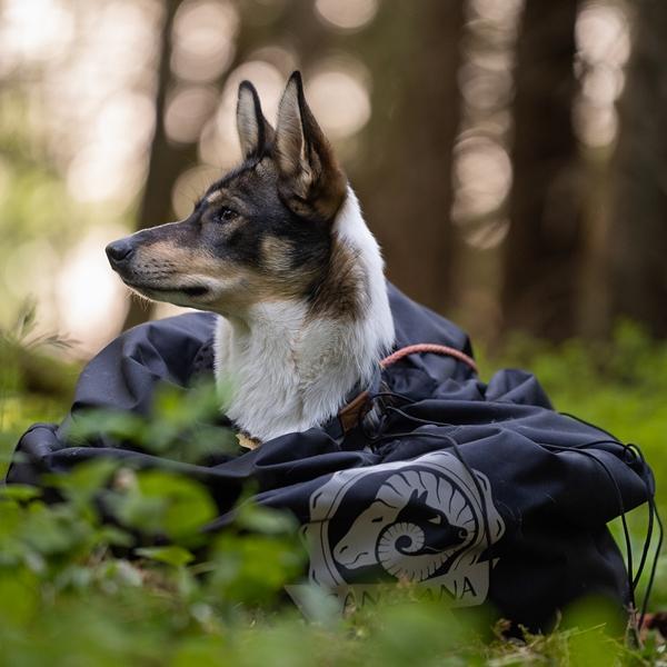 SHELTER - Canelana beskyttende vind-/varmepose hund