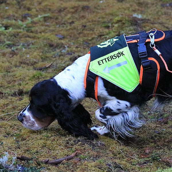 Canelana markeringsdekken-vest hund: Sporio ettersøk m/ Orbiloc feste