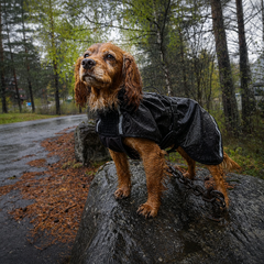 Cover sort vind-/regndekken hund