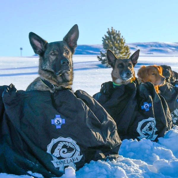 SHELTER - Canelana beskyttende vind-/varmepose hund