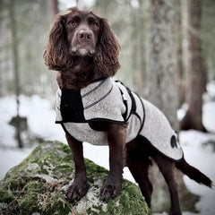 Delta ulldekken hund