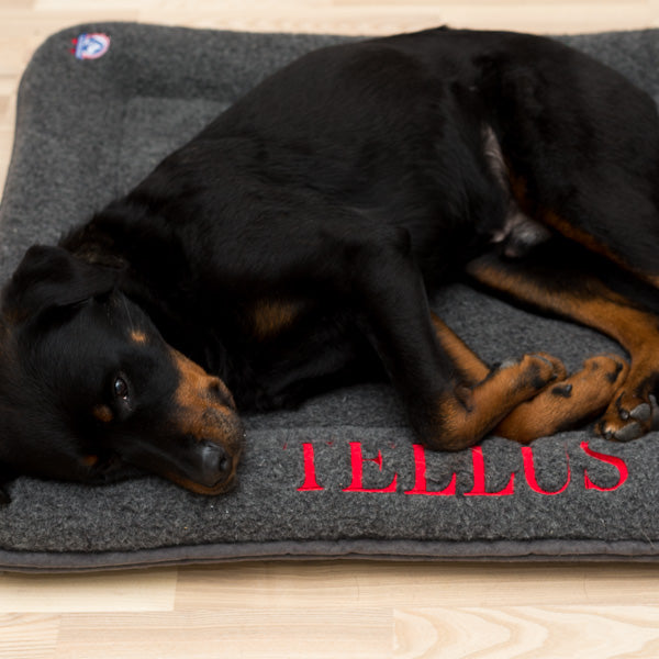 BAILEY - Canelana 100% ull seng hund i bestilt farge og/eller brodert nav