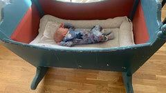 LY ull babynest