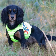 Neon beskyttelsesvest med 100% ullfór hund