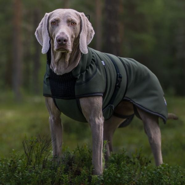 Thermo grønn-100% ull dekken hund softshell ytterstoff