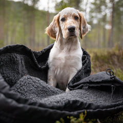 SHELTER - Canelana beskyttende vind-/varmepose hund