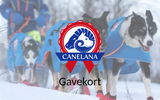 Gavekort