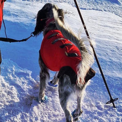 Hunter extreme tispedekken